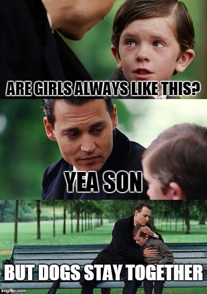 Finding Neverland | ARE GIRLS ALWAYS LIKE THIS? YEA SON; BUT DOGS STAY TOGETHER | image tagged in memes,finding neverland | made w/ Imgflip meme maker