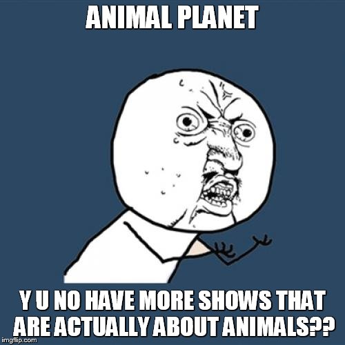 Shows like Tanked, Finding Bigfoot, etc. don't even have any animals in them. | ANIMAL PLANET; Y U NO HAVE MORE SHOWS THAT ARE ACTUALLY ABOUT ANIMALS?? | image tagged in memes,y u no | made w/ Imgflip meme maker