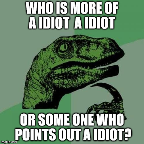 A Idiot  meme | WHO IS MORE OF A IDIOT  A IDIOT; OR SOME ONE WHO POINTS OUT A IDIOT? | image tagged in memes,philosoraptor | made w/ Imgflip meme maker
