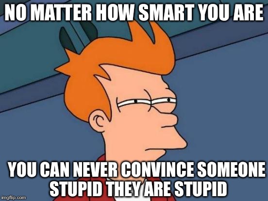 Futurama Fry | NO MATTER HOW SMART YOU ARE; YOU CAN NEVER CONVINCE SOMEONE STUPID THEY ARE STUPID | image tagged in memes,futurama fry | made w/ Imgflip meme maker