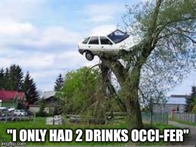 I was just on my way home | "I ONLY HAD 2 DRINKS OCCI-FER" | image tagged in memes | made w/ Imgflip meme maker