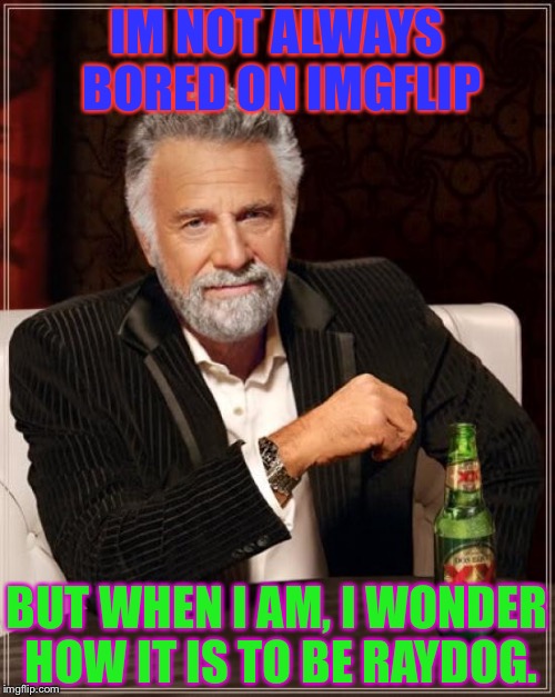 Anyone else ever wonder? | IM NOT ALWAYS BORED ON IMGFLIP; BUT WHEN I AM, I WONDER HOW IT IS TO BE RAYDOG. | image tagged in memes,the most interesting man in the world | made w/ Imgflip meme maker