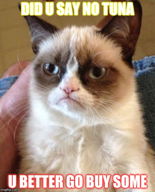 Grumpy Cat Meme | DID U SAY NO TUNA; U BETTER GO BUY SOME | image tagged in memes,grumpy cat | made w/ Imgflip meme maker