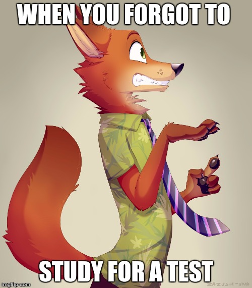 Zootopia Fox | WHEN YOU FORGOT TO; STUDY FOR A TEST | image tagged in zootopia fox,fox,zootopia,meme,test,study | made w/ Imgflip meme maker