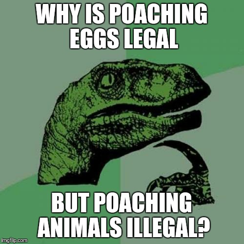 Philosoraptor Meme | WHY IS POACHING EGGS LEGAL; BUT POACHING ANIMALS ILLEGAL? | image tagged in memes,philosoraptor | made w/ Imgflip meme maker