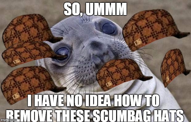 Awkward Moment Sealion | SO, UMMM; I HAVE NO IDEA HOW TO REMOVE THESE SCUMBAG HATS | image tagged in memes,awkward moment sealion,scumbag | made w/ Imgflip meme maker