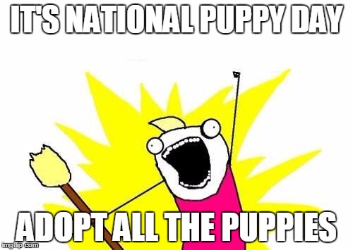 National Puppy Day | IT'S NATIONAL PUPPY DAY; ADOPT ALL THE PUPPIES | image tagged in memes,x all the y,national puppy day,puppies | made w/ Imgflip meme maker