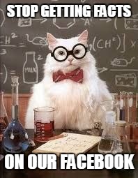 SMART CAT | STOP GETTING FACTS; ON OUR FACEBOOK | image tagged in smart cat | made w/ Imgflip meme maker