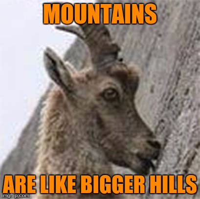 :D | MOUNTAINS; ARE LIKE BIGGER HILLS | image tagged in imgflip 10 guy goat,memes | made w/ Imgflip meme maker