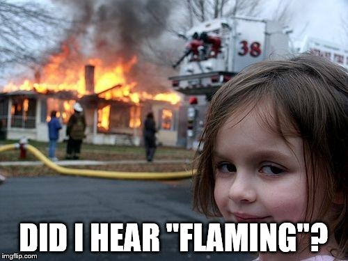 Disaster Girl Meme | DID I HEAR "FLAMING"? | image tagged in memes,disaster girl | made w/ Imgflip meme maker