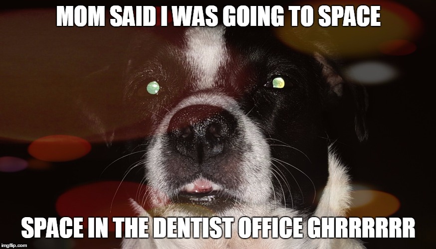 MOM SAID I WAS GOING TO SPACE; SPACE IN THE DENTIST OFFICE GHRRRRRR | image tagged in jersey in space | made w/ Imgflip meme maker