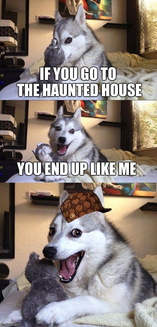 Bad Pun Dog Meme | IF YOU GO TO THE HAUNTED HOUSE; YOU END UP LIKE ME | image tagged in memes,bad pun dog,scumbag | made w/ Imgflip meme maker