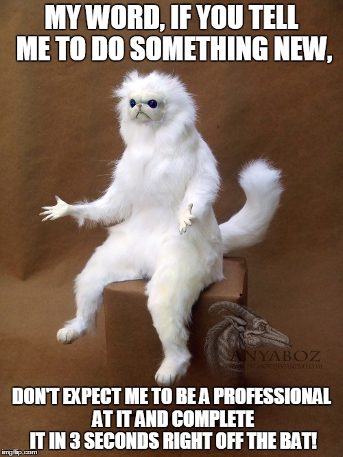 Please Understand All Humans Make Mistakes! | MY WORD, IF YOU TELL ME TO DO SOMETHING NEW, DON'T EXPECT ME TO BE A PROFESSIONAL AT IT AND COMPLETE IT IN 3 SECONDS RIGHT OFF THE BAT! | image tagged in persian cat room guardian | made w/ Imgflip meme maker