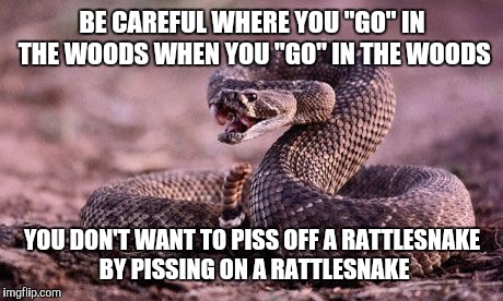 Rattlesnake |  BE CAREFUL WHERE YOU "GO" IN THE WOODS WHEN YOU "GO" IN THE WOODS; YOU DON'T WANT TO PISS OFF A RATTLESNAKE BY PISSING ON A RATTLESNAKE | image tagged in rattlesnake | made w/ Imgflip meme maker