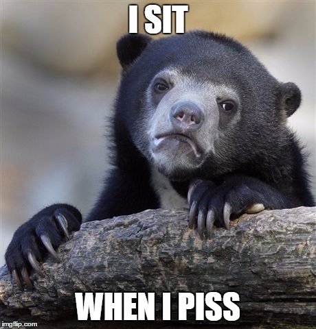 Confession Bear | I SIT; WHEN I PISS | image tagged in memes,confession bear,AdviceAnimals | made w/ Imgflip meme maker