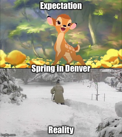 Spring in Denver | Expectation; Spring in Denver; Reality | image tagged in denver,spring | made w/ Imgflip meme maker