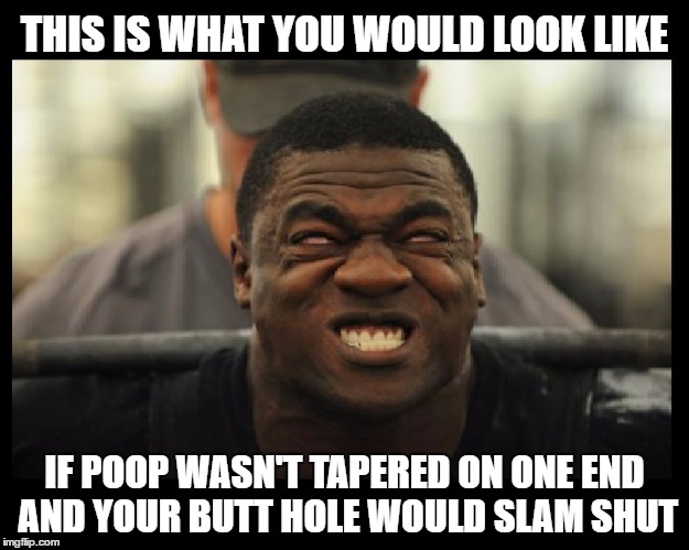 OW my butt! | THIS IS WHAT YOU WOULD LOOK LIKE; IF POOP WASN'T TAPERED ON ONE END AND YOUR BUTT HOLE WOULD SLAM SHUT | image tagged in butt,butthurt,slam,shut,poop,constipated | made w/ Imgflip meme maker