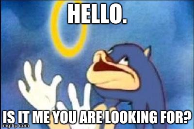 Sonic derp | HELLO. IS IT ME YOU ARE LOOKING FOR? | image tagged in sonic derp | made w/ Imgflip meme maker