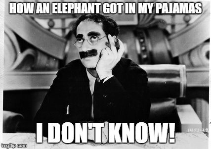 Groucho | HOW AN ELEPHANT GOT IN MY PAJAMAS; I DON'T KNOW! | image tagged in groucho | made w/ Imgflip meme maker