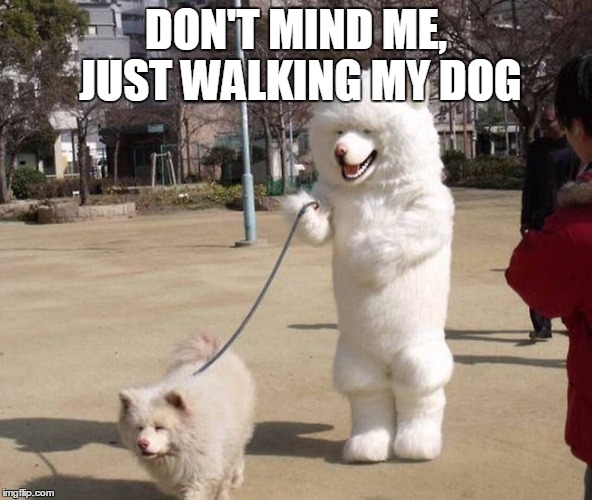 DON'T MIND ME, JUST WALKING MY DOG | made w/ Imgflip meme maker