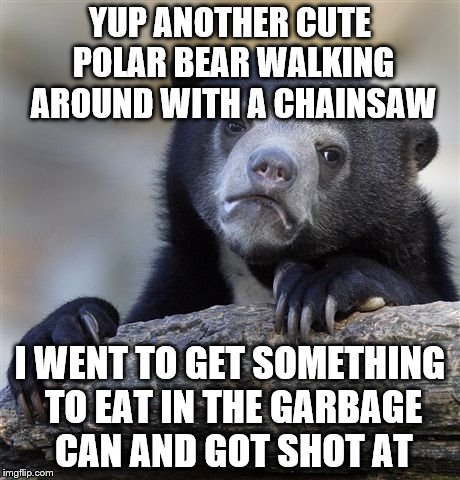 Confession Bear Meme | YUP ANOTHER CUTE POLAR BEAR WALKING AROUND WITH A CHAINSAW I WENT TO GET SOMETHING TO EAT IN THE GARBAGE CAN AND GOT SHOT AT | image tagged in memes,confession bear | made w/ Imgflip meme maker