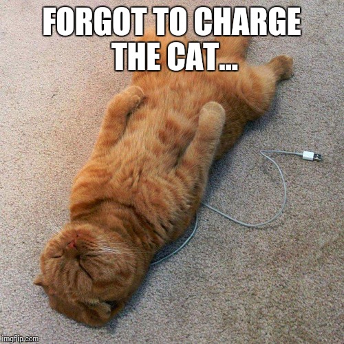 Forgot to charge the cat... | FORGOT TO CHARGE THE CAT... | image tagged in funny,memes,funny memes,cats,grumpy cat | made w/ Imgflip meme maker