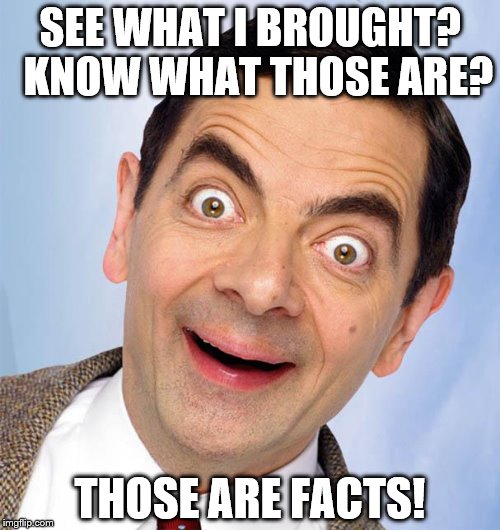 mr. bean excited | SEE WHAT I BROUGHT?  KNOW WHAT THOSE ARE? THOSE ARE FACTS! | image tagged in mr bean excited | made w/ Imgflip meme maker