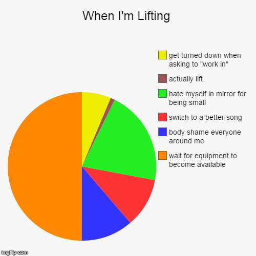 image tagged in funny,pie charts,weight lifting | made w/ Imgflip chart maker