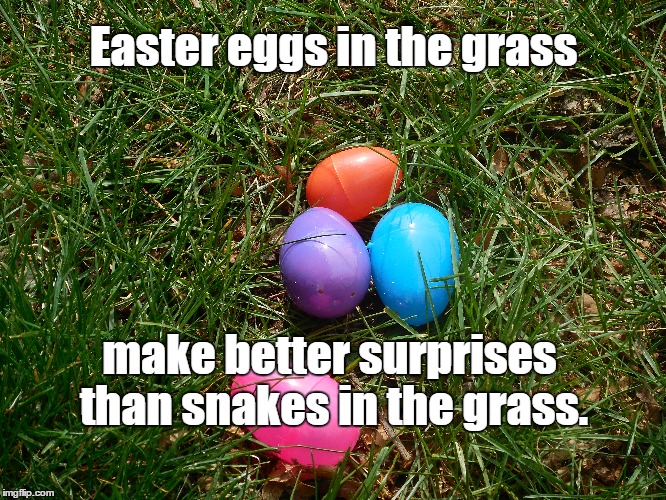 Easter Eggs in Grass | Easter eggs in the grass; make better surprises than snakes in the grass. | image tagged in easter eggs,easter,colored eggs | made w/ Imgflip meme maker