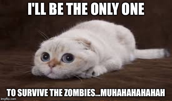 Cat weird about zombies | I'LL BE THE ONLY ONE; TO SURVIVE THE ZOMBIES...MUHAHAHAHAHAH | image tagged in zombies,gone,wrong | made w/ Imgflip meme maker