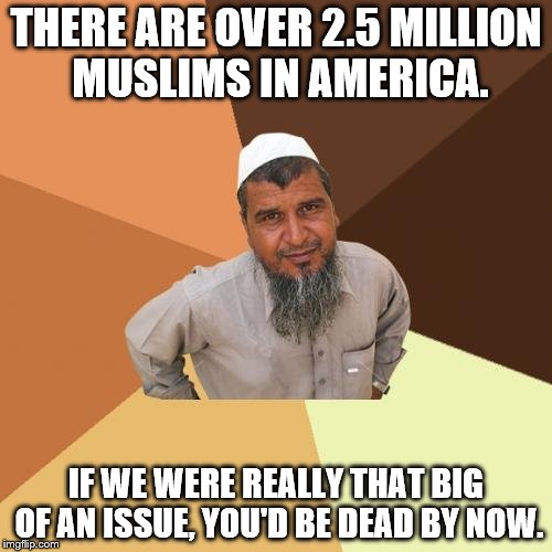 Ordinary Muslim Man | THERE ARE OVER 2.5 MILLION MUSLIMS IN AMERICA. IF WE WERE REALLY THAT BIG OF AN ISSUE, YOU'D BE DEAD BY NOW. | image tagged in memes,ordinary muslim man | made w/ Imgflip meme maker