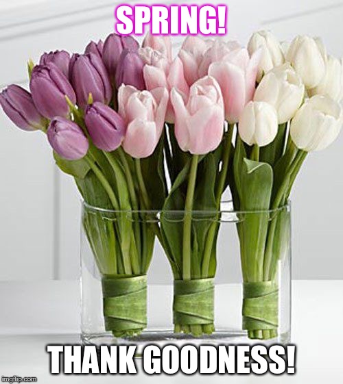 flowers | SPRING! THANK GOODNESS! | image tagged in flowers | made w/ Imgflip meme maker