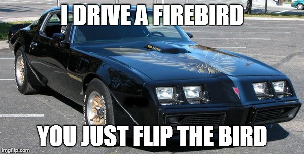 muscle car  | I DRIVE A FIREBIRD; YOU JUST FLIP THE BIRD | image tagged in muscle car | made w/ Imgflip meme maker