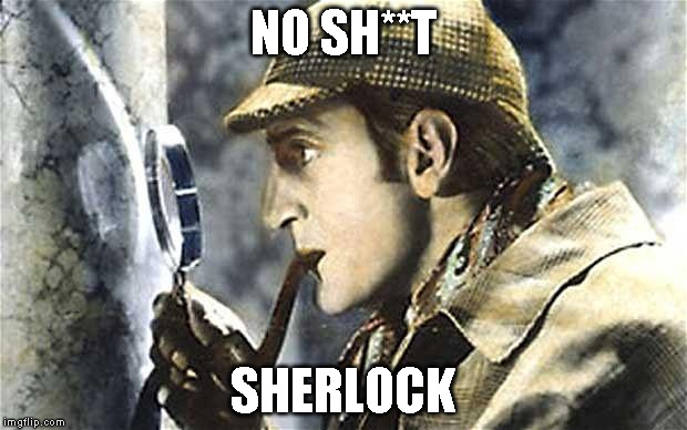 sherlock investigates | NO SH**T; SHERLOCK | image tagged in sherlock investigates | made w/ Imgflip meme maker