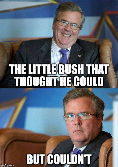 Hide The Pain Jeb | THE LITTLE BUSH THAT THOUGHT HE COULD; BUT COULDN'T | image tagged in hide the pain jeb | made w/ Imgflip meme maker