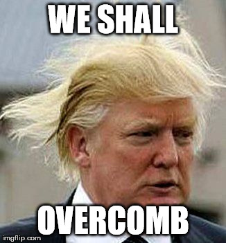 WE SHALL; OVERCOMB | image tagged in thedonald | made w/ Imgflip meme maker