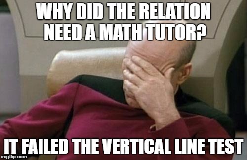 Captain Picard Facepalm Meme | WHY DID THE RELATION NEED A MATH TUTOR? IT FAILED THE VERTICAL LINE TEST | image tagged in memes,captain picard facepalm | made w/ Imgflip meme maker