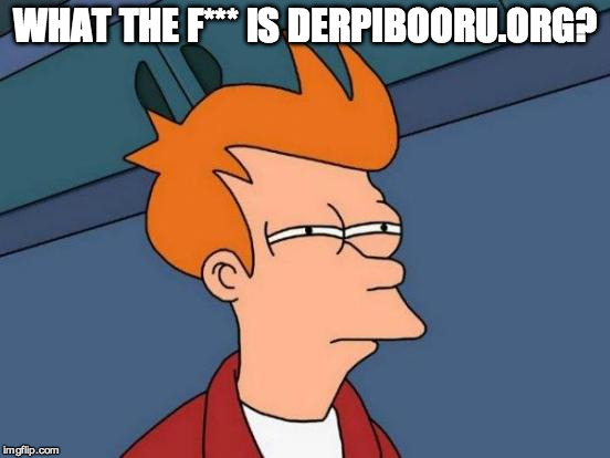 Futurama Fry Meme | WHAT THE F*** IS DERPIBOORU.ORG? | image tagged in memes,futurama fry | made w/ Imgflip meme maker