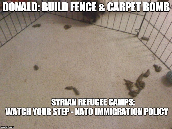 DONALD: BUILD FENCE & CARPET BOMB; SYRIAN REFUGEE CAMPS: WATCH YOUR STEP - NATO IMMIGRATION POLICY | image tagged in immigration plan build fence  carpet bomb | made w/ Imgflip meme maker