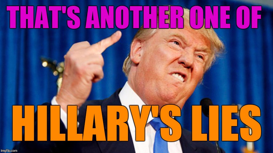 Trump - Bird | THAT'S ANOTHER ONE OF HILLARY'S LIES | image tagged in trump - bird | made w/ Imgflip meme maker
