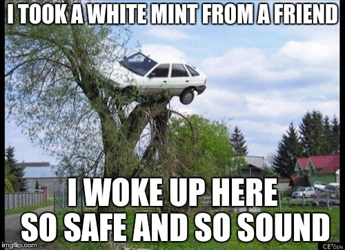 Secure Parking | I TOOK A WHITE MINT FROM A FRIEND; I WOKE UP HERE SO SAFE AND SO SOUND | image tagged in memes,secure parking | made w/ Imgflip meme maker