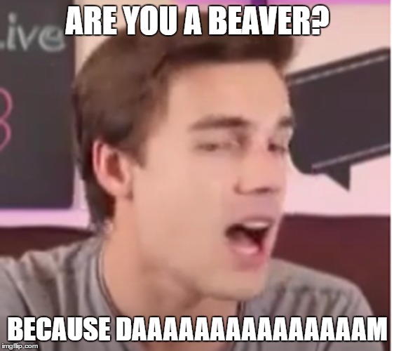 Pickup Lines | ARE YOU A BEAVER? BECAUSE DAAAAAAAAAAAAAAAM | image tagged in date,pickup lines | made w/ Imgflip meme maker