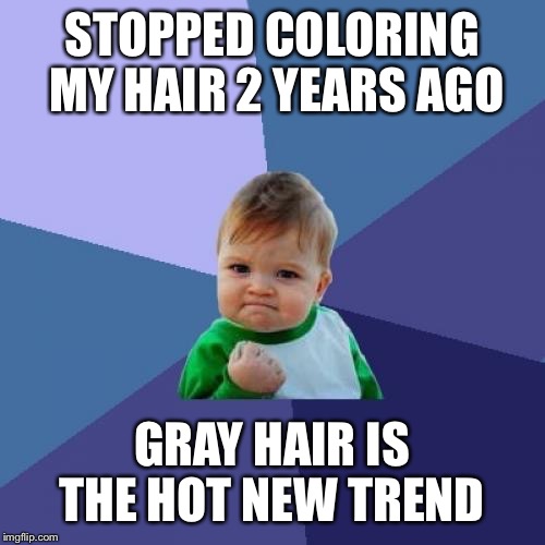 Success Kid Meme |  STOPPED COLORING MY HAIR 2 YEARS AGO; GRAY HAIR IS THE HOT NEW TREND | image tagged in memes,success kid | made w/ Imgflip meme maker