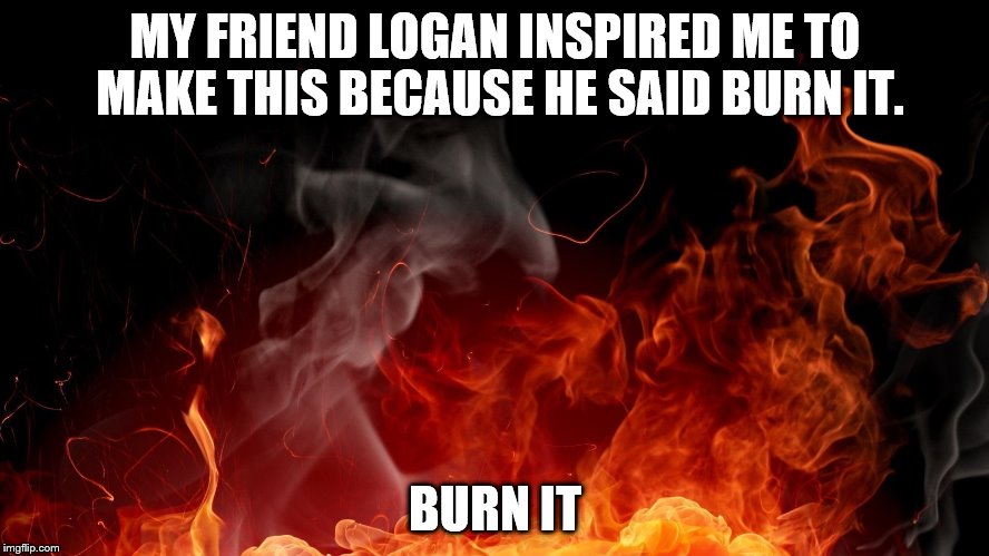 Logan meme | MY FRIEND LOGAN INSPIRED ME TO MAKE THIS BECAUSE HE SAID BURN IT. BURN IT | image tagged in logan meme | made w/ Imgflip meme maker