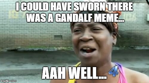 Ain't Nobody Got Time For That Meme | I COULD HAVE SWORN THERE WAS A GANDALF MEME... AAH WELL... | image tagged in memes,aint nobody got time for that | made w/ Imgflip meme maker