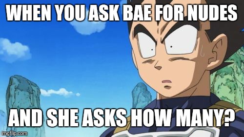 Surprized Vegeta | WHEN YOU ASK BAE FOR NUDES; AND SHE ASKS HOW MANY? | image tagged in memes,surprized vegeta | made w/ Imgflip meme maker