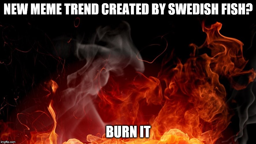NEW MEME TREND CREATED BY SWEDISH FISH? BURN IT | image tagged in burn it | made w/ Imgflip meme maker