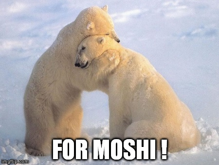 FOR MOSHI ! | made w/ Imgflip meme maker