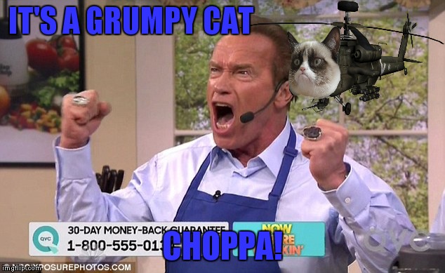 IT'S A GRUMPY CAT CHOPPA! | made w/ Imgflip meme maker