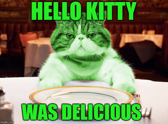 RayCat Hungry | HELLO KITTY; WAS DELICIOUS | image tagged in raycat hungry | made w/ Imgflip meme maker